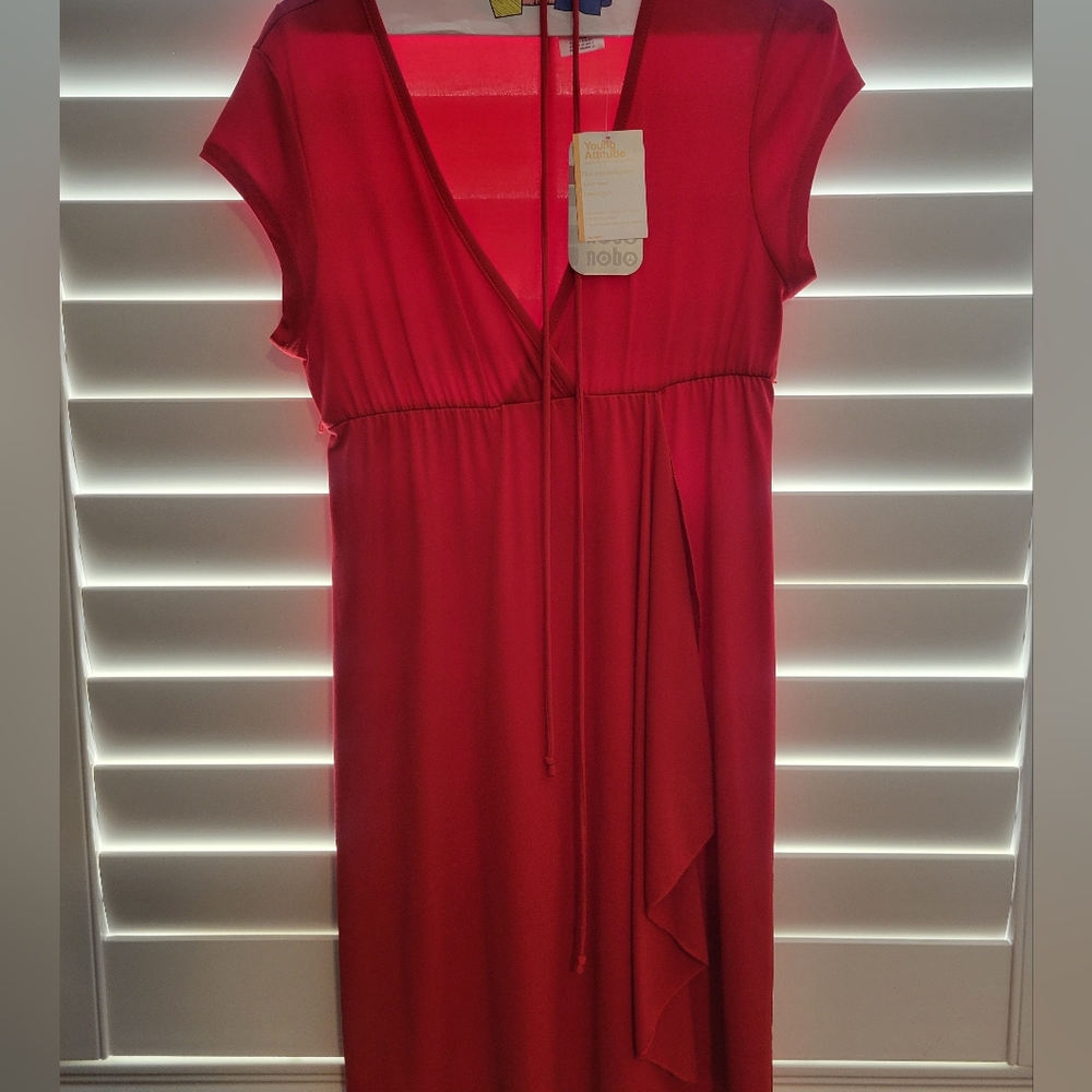 Elegant Red Dress